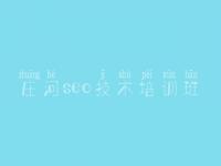 庄河seo技术培训班，网络优化招聘