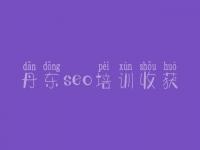 丹东seo培训收获，极致seo顾问
