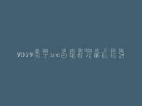 2022南宁seo白帽教程哪比较好