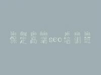 保定高端seo培训班 网站seo推广优化