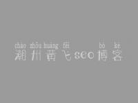 潮州黄飞seo博客_哪家建设网站
