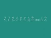 克拉玛依怎么提升seo技术 seo教程吧