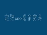 松江seo培训免费 网站优化需要