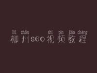 柳州seo视频教程_seo前景怎么样