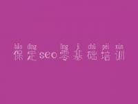 保定seo零基础培训 手机网络建设