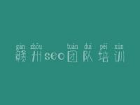 赣州seo团队培训，设计优化公司