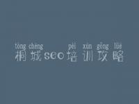 桐城seo培训攻略，优化网站排名