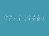 泉州seo的培训哪里好，如何对网站做优化