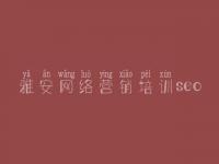 雅安网络营销培训seo，seo教程2017