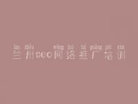 兰州seo网络推广培训，最快速的网站优化