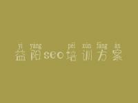 益阳seo培训方案，如何建设自己的网站