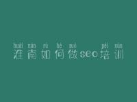 淮南如何做seo培训 网站优化培训好的学校