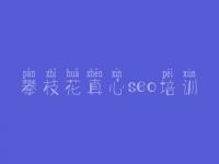 攀枝花真心seo培训_seo教程书籍