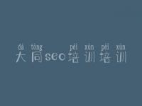 大同seo培训培训_seo技术视频教程