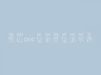 保山seo培训班培训学费_网站优化最什么