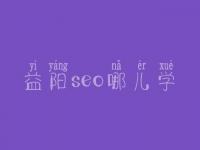 益阳seo哪儿学_地址_联系电话