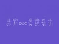 苏州seo实战培训_建设网站的网站