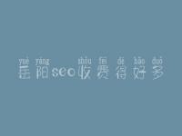 岳阳seo收费得好多_价格_服务