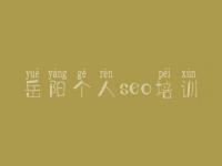岳阳个人seo培训 网站关键字优化