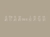 浦东河南seo技术培训_建设网站公司