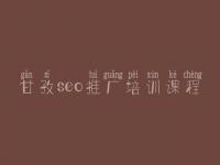 甘孜seo推广培训课程_网站优化情况