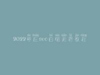 2022枣庄seo白帽免费教程_精品白帽实操