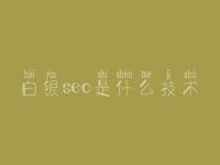 白银seo是什么技术，如何网站建设