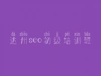 达州seo初级培训班 seo使用教程