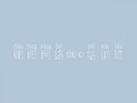 朝阳网络seo培训班_怎么建设自己的网站