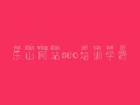 乐山网站seo培训学费 专业优化网站