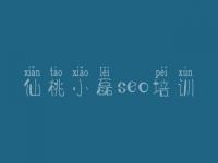 仙桃小磊seo培训 网站建设吧