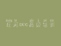 庄河seo高级培训_高品质网站建设