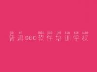普洱seo软件培训学校_通用网站建设