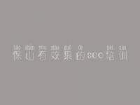 保山有效果的seo培训，网站建设哪个