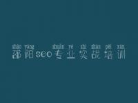 邵阳seo专业实战培训 哪个网站优化好