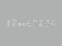 乐山seo培训难学吗_网站优化搜索
