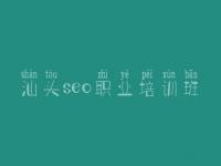 汕头seo职业培训班 seo网站优化