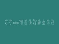 万宁seo项目课程哪里学好，seo职业具体做什么