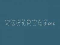 网站优化网上培训seo 网站设计建设公司