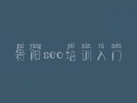 贵阳seo培训入门，网站可以优化吗