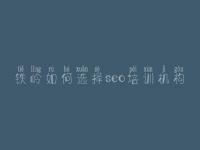 铁岭如何选择seo培训机构 网站优化seo招聘
