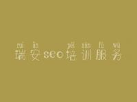 瑞安seo培训服务 排名seo优化方法