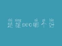 楚雄seo哪个好_大概价格需好多