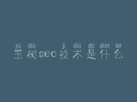 玉树seo技术是什么_官方网站建设