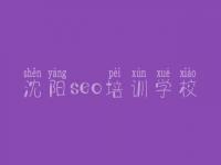 沈阳seo培训学校_如何做网站建设