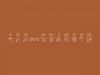 七台河seo培训机构那个好_网站优化有什么用