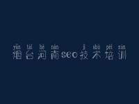 烟台河南seo技术培训，需要网站建设