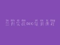 兰州实战seo培训课程，如何做好网站优化