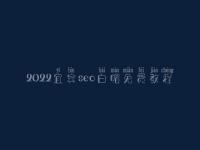 2022宜宾seo白帽免费教程_一流白帽实操