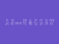 河南seo短期培训课程 官网建设公司